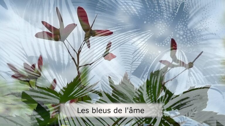 Les bleus de l’âme Les bleus de l’âme