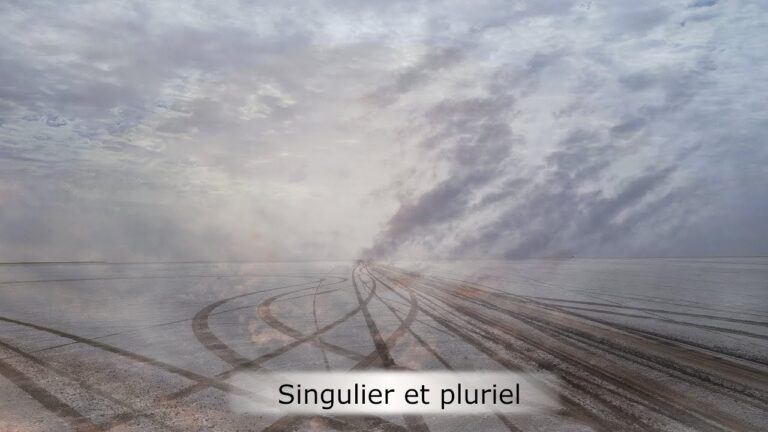 Singulier et pluriel Singulier et pluriel