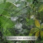 S'installer, mais pour quoi faire ?