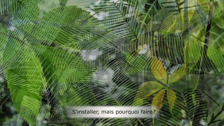 S’installer, mais pour quoi faire ? S’installer, mais pour quoi faire ?