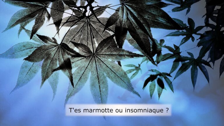 T’es marmotte ou insomniaque ? T’es marmotte ou insomniaque ?