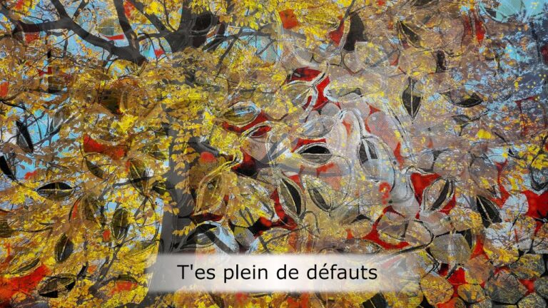 T’es plein de défauts T’es plein de défauts