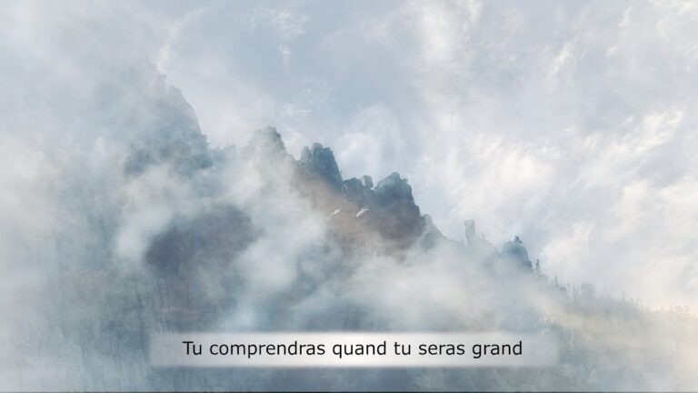 Tu comprendras quand tu seras grand Tu comprendras quand tu seras grand