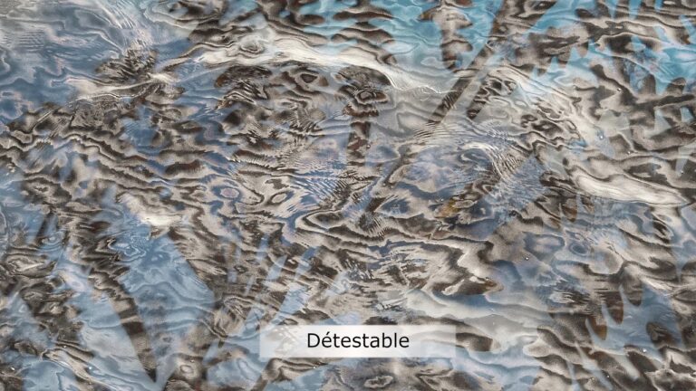 Détestable ! Détestable !