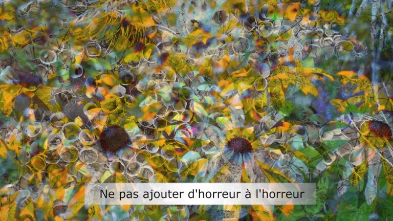 Ne pas ajouter d’horreur à l’horreur Ne pas ajouter d’horreur à l’horreur