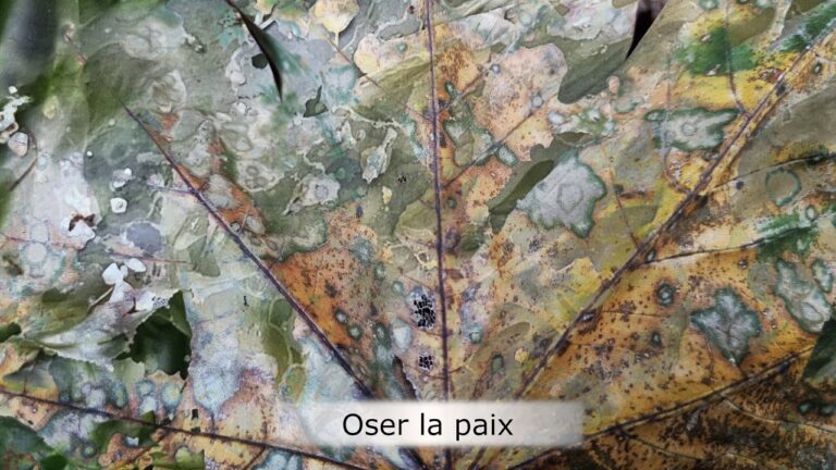 Oser la paix Oser la paix