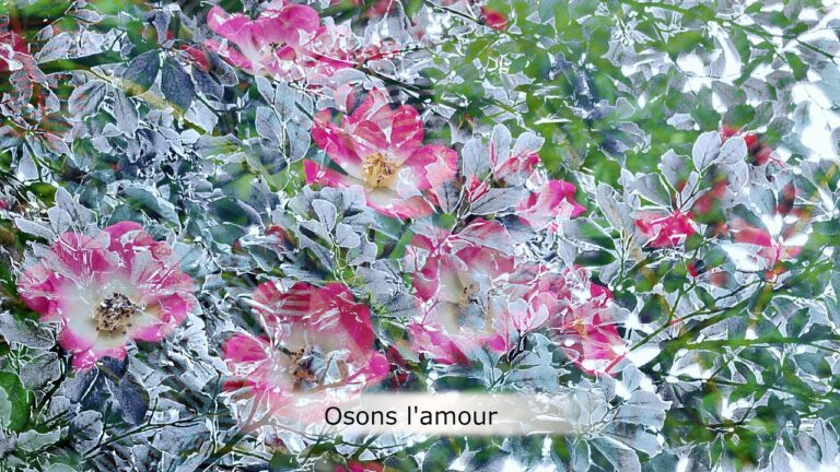 Osons l’amour Osons l’amour