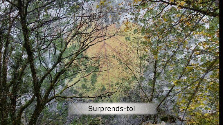 Surprends-toi ! Surprends-toi !