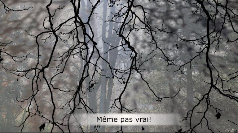 Même pas vrai ! Même pas vrai !