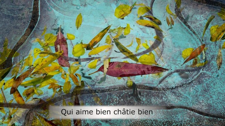 Qui aime bien châtie bien Qui aime bien châtie bien