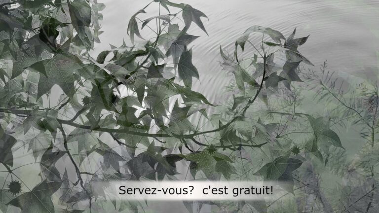 Servez-vous ? C’est gratuit ! Servez-vous ? C’est gratuit !