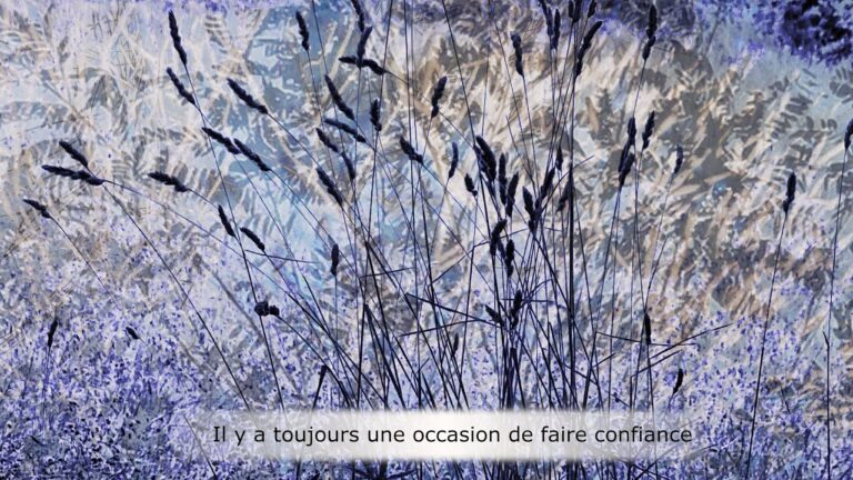 Il y a toujours une occasion de faire confiance Il y a toujours une occasion de faire confiance