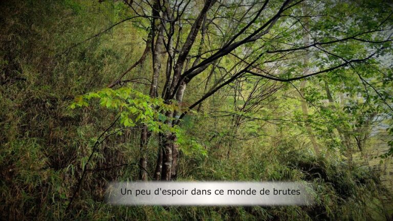 Un peu d’espoir dans ce monde de brutes Un peu d’espoir dans ce monde de brutes