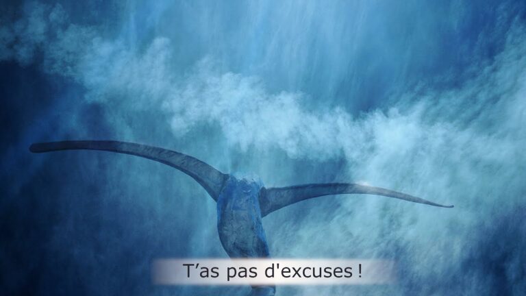 T’as pas d’excuses ! T’as pas d’excuses !