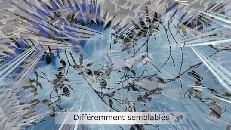 Différemment semblables Différemment semblables