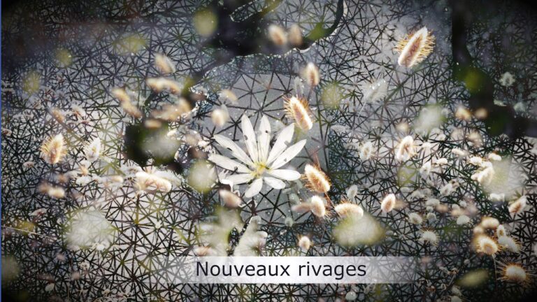 Nouveaux rivages Nouveaux rivages