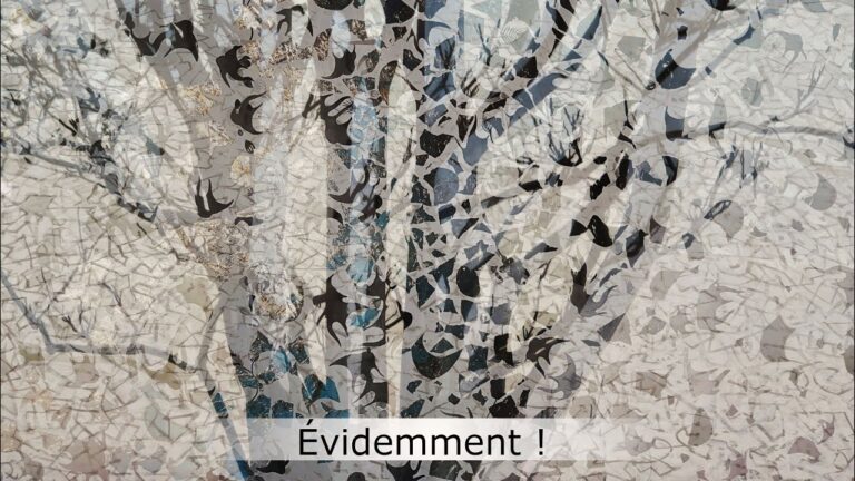 Évidemment ! Évidemment !