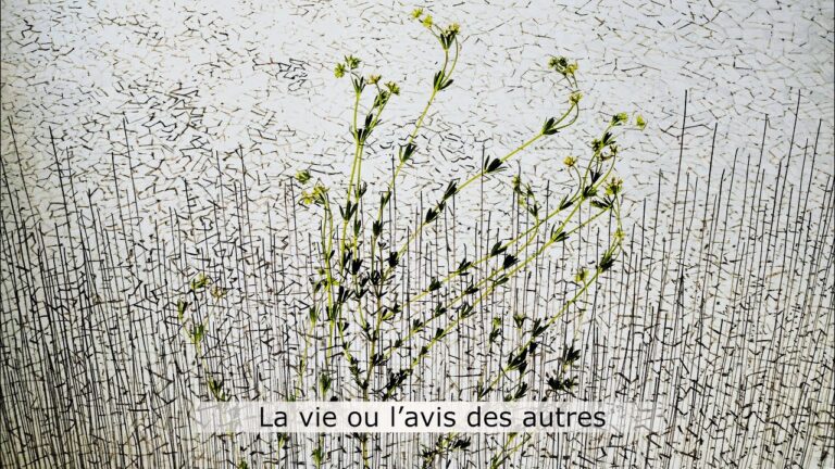 La vie ou l’avis des autres La vie ou l’avis des autres