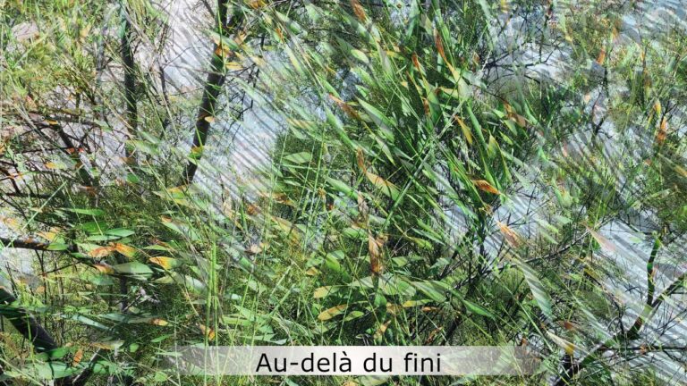 Au-delà du fini Au-delà du fini