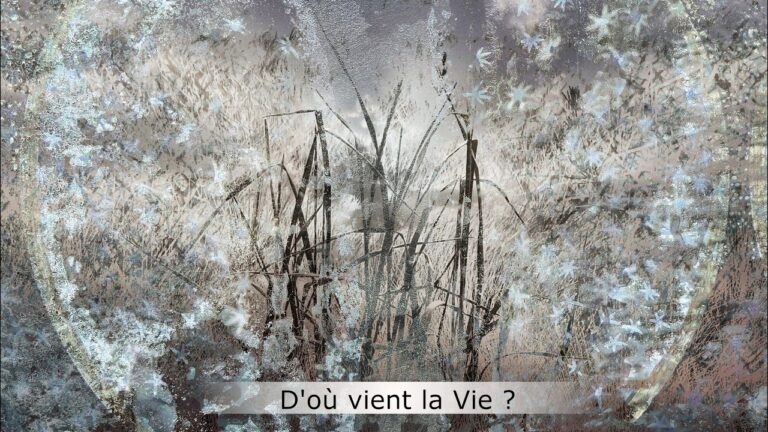 D’où vient la Vie ? D’où vient la Vie ?