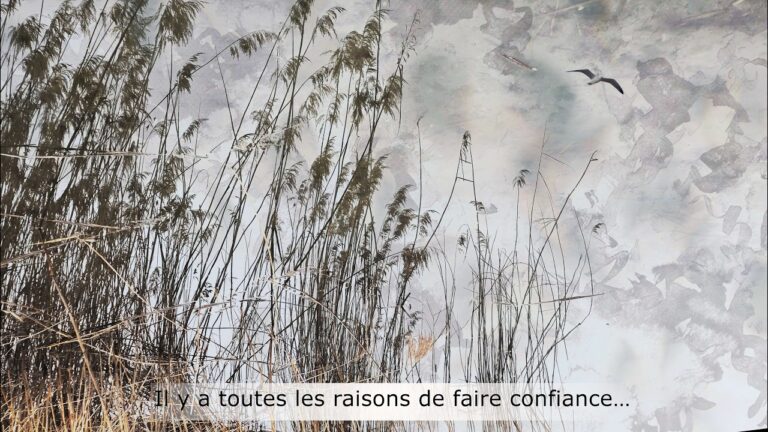 Il y a toutes les raisons de faire confiance… Il y a toutes les raisons de faire confiance…