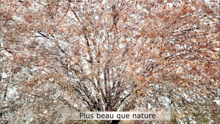 Plus beau que nature Plus beau que nature
