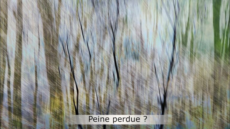 Peine perdue ? Peine perdue ?